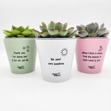 Load image into Gallery viewer, Trio Pack - Positive - Cheeky Plant Co. Pots - 11cmD x 11cmH