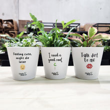 Load image into Gallery viewer, Trio Cheeky Pots Pack - Cheeky Plant Co. Pots - 13.5cmD x 11.5cmH
