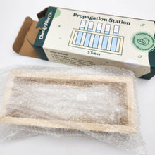 Load image into Gallery viewer, Propagation Station - 5 Tubes - Cheeky Plant Co. - International