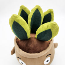 Load image into Gallery viewer, Cheeky Plant Plushie - International