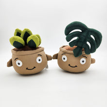 Load image into Gallery viewer, Cheeky Plant Plushie - International