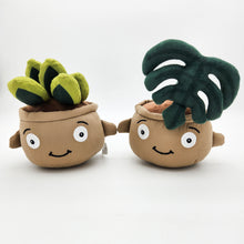 Load image into Gallery viewer, Cheeky Plant Plushie - International