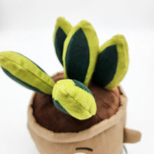 Load image into Gallery viewer, Cheeky Plant Plushie - International