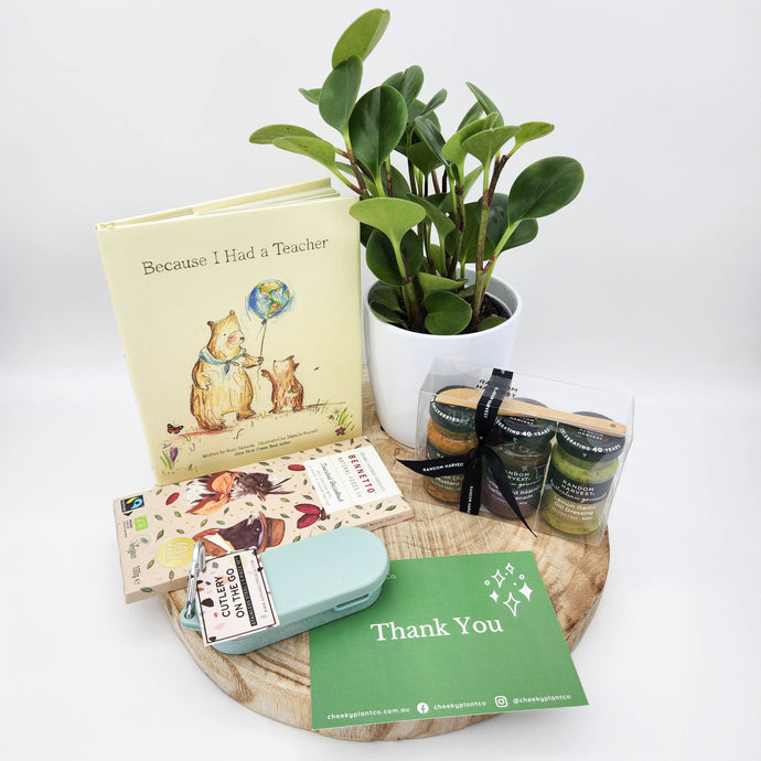 Growing Gratitude: Why Plant Gift Hampers Are the Perfect Choice for Teacher Appreciation