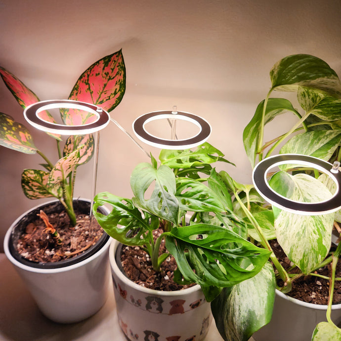 Top 5 Benefits of Indoor Grow Lights for Plants