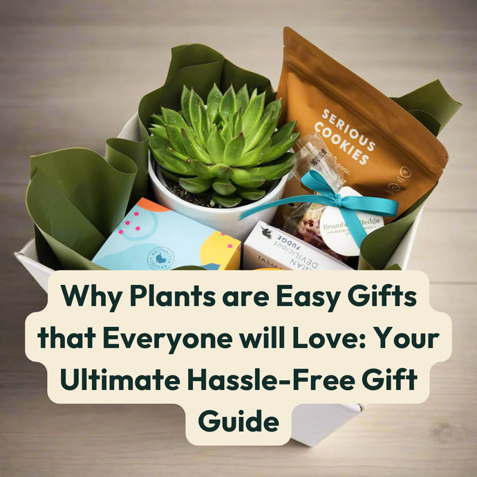 Why Plants are Easy Gifts that Everyone will Love: Your Ultimate Hassle-Free Gift Guide