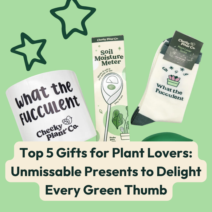 Top 5 Gifts for Plant Lovers: Unmissable Presents to Delight Every Green Thumb