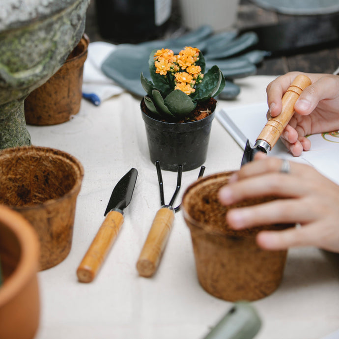 5 Must-Have Plant Tools for Indoor Plant Care