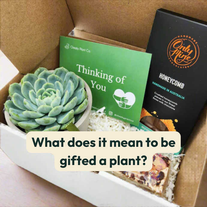 What does it mean to be gifted a plant?