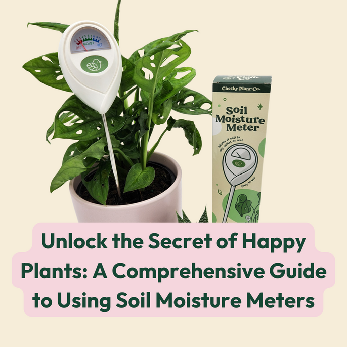 Unlock the Secret of Happy Plants: A Comprehensive Guide to Using Soil Moisture Meters