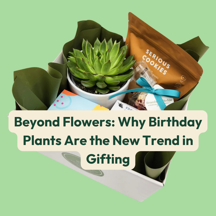 Beyond Flowers: Why Birthday Plants Are the New Trend in Gifting