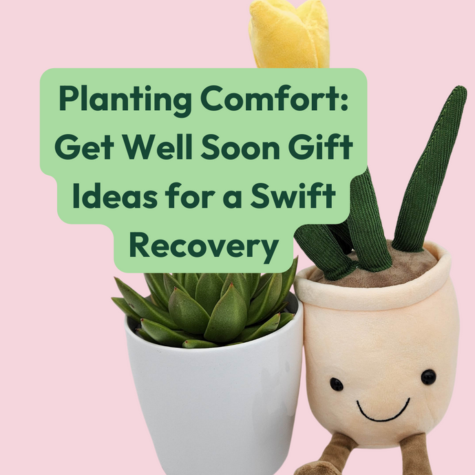 Planting Comfort: Get Well Soon Gift Ideas for a Swift Recovery