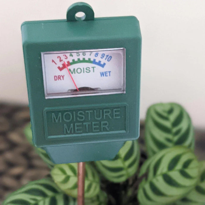 Soil Moisture Meters - The Best Plant Tool Every Gardener Needs