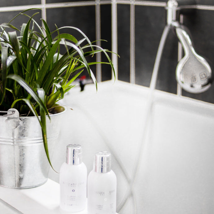 Five Reasons Why Having Plants in Your Bathroom Is a Must