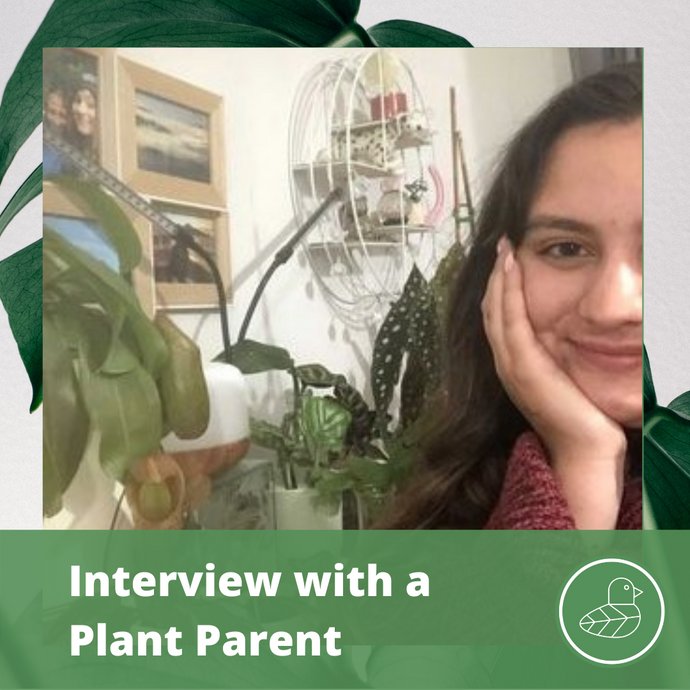 Interview with a Plant Parent: Anya