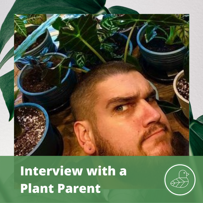 Interview with A Plant Parent: Boz