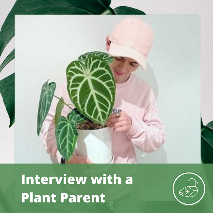 Interview with a Plant Parent: Justin