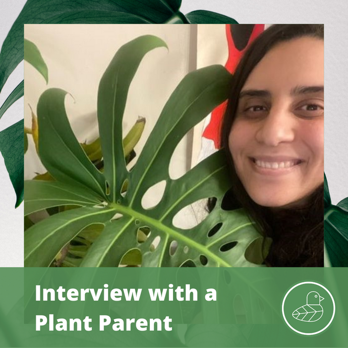 Interview with a Plant Parent: Madelen