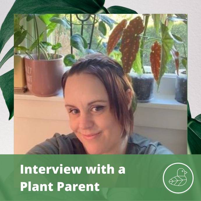 Interview with a Plant Parent: Nat