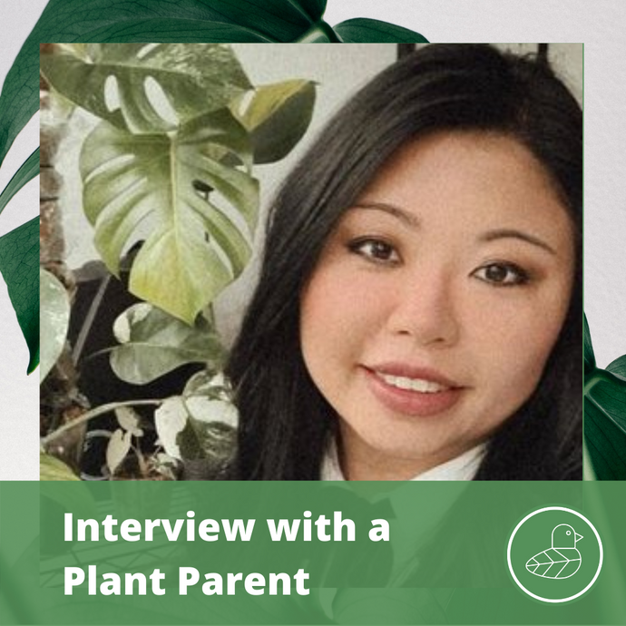 Interview with a Plant Parent: Yvonne