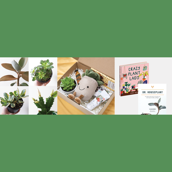 📢 News - 26 May 2022 - Interstate Gift Boxes, Hampers, Books & Plants!