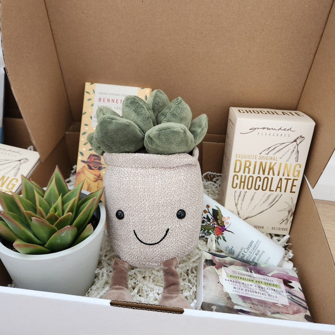 Succulent Gift Boxes Delivered Across Australia