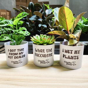 Trio Pack - Funny - Cheeky Plant Co. Pots - 12.5cmD x 12cmH