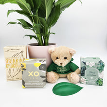 Load image into Gallery viewer, Thinking of You Plant Hamper - Sydney Only
