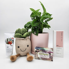 Load image into Gallery viewer, Happy Birthday Plant Hamper - Sydney Only
