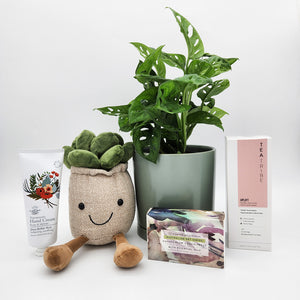 Happy Birthday Plant Hamper - Sydney Only