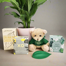 Load image into Gallery viewer, Thinking of You Plant Hamper - Sydney Only
