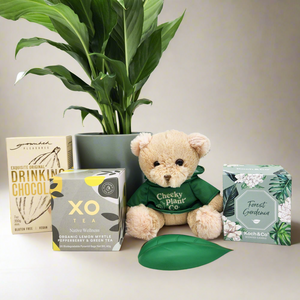 Thinking of You Plant Hamper - Sydney Only