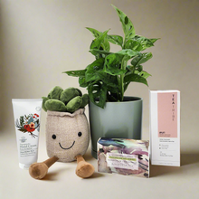 Load image into Gallery viewer, Happy Birthday Plant Hamper - Sydney Only
