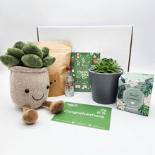 Load image into Gallery viewer, Congratulations - Succulent Hamper / Succulent Gift Box
