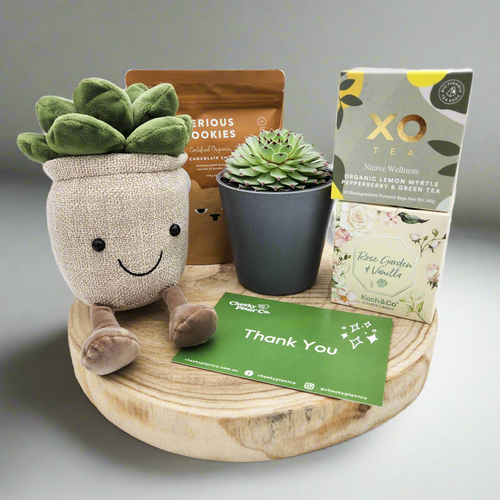 Thank You - Succulent Hamper / Succulent Gift Box - Sydney Only