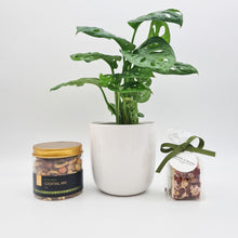 Load image into Gallery viewer, Thank You So Much - Plant Gift Hamper - Sydney Only
