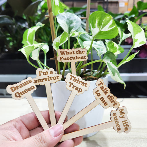 Cheeky Plant Markers (Pack of 6) - Cheeky Plant Co.