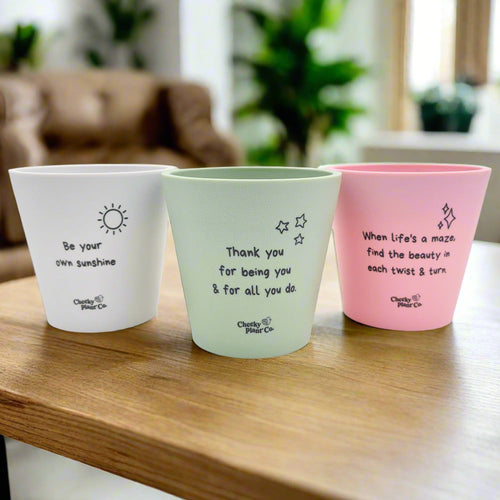 Trio Pack - Positive - Cheeky Plant Co. Pots - 11cmD x 11cmH