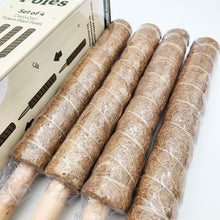 Load image into Gallery viewer, Coco Coir Totem Plant Poles (Pack of 4) - Cheeky Plant Co.
