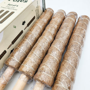 Coco Coir Totem Plant Poles (Pack of 4) - Cheeky Plant Co.