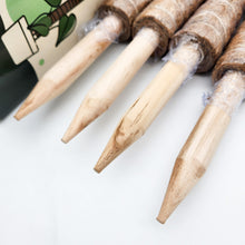 Load image into Gallery viewer, Coco Coir Totem Plant Poles (Pack of 4) - Cheeky Plant Co.
