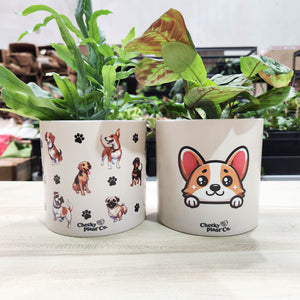 Cute Dogs Duo Pack - Cheeky Plant Co. Pots - 12.5cmD x 12cmH