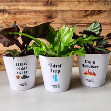 Load image into Gallery viewer, Trio Slay Pots Pack - Cheeky Plant Co. Pots - 13.5cmD x 11.5cmH
