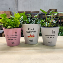 Load image into Gallery viewer, Strong Independent Woman Pots Pack - Cheeky Plant Co. Pots
