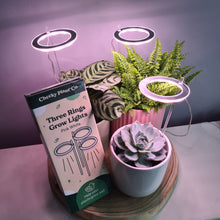 Load image into Gallery viewer, Three Rings Grow Lights - Pink White - Cheeky Plant Co. - International
