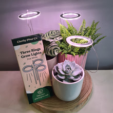 Load image into Gallery viewer, Three Rings Grow Lights - Pink White - Cheeky Plant Co. - International
