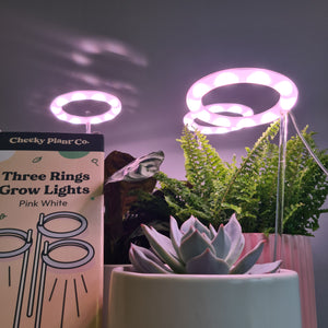 Three Rings Grow Lights - Pink White - Cheeky Plant Co. - International