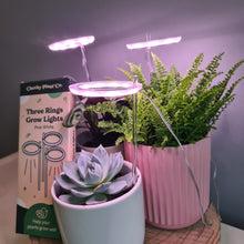 Load image into Gallery viewer, Three Rings Grow Lights - Pink White - Cheeky Plant Co. - International
