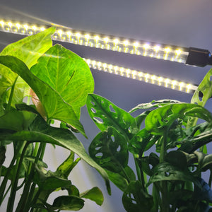 2 Headed LED Indoor Plant Grow Lights - White - Cheeky Plant Co. - International