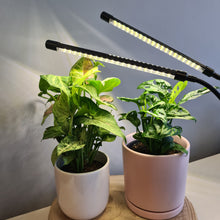 Load image into Gallery viewer, 2 Headed LED Indoor Plant Grow Lights - White - Cheeky Plant Co. - International
